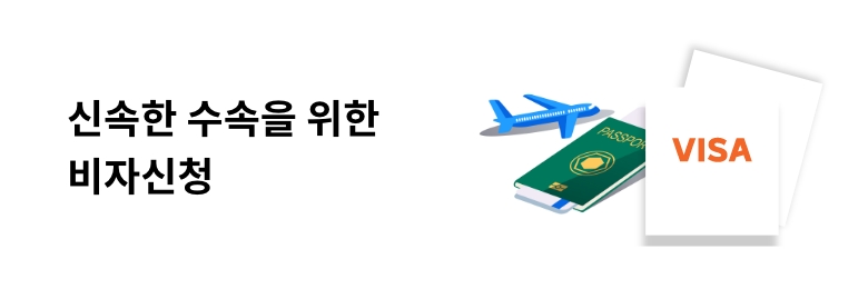 비자신청